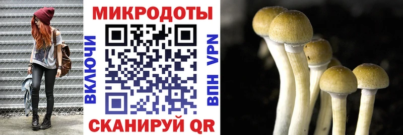 Псилоцибиновые грибы Psilocybine cubensis  Нюрба 